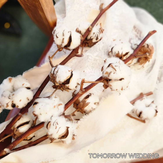 【2月】相談会カレンダー